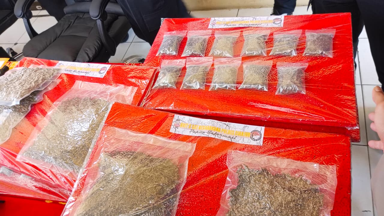 Dikemas Ala Produk Makanan, 14,8 Kg Ganja di Cianjur Gagal Beredar